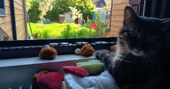 emmanuelle pet sitter à SOTTEVILLE LES ROUEN 76300_10