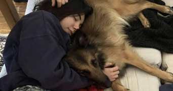 ema pet sitter à PARIS 11 75011_1