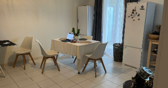 vanessa fernanda pet sitter à ROMILLY SUR SEINE 10100_1