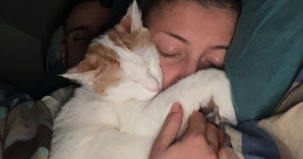 tao pet sitter à TOULOUSE 31000_5