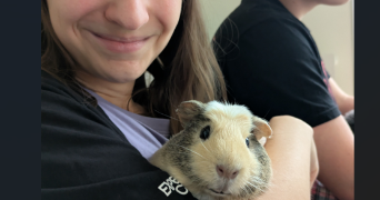 lorane pet sitter à ANGERS 49100_2