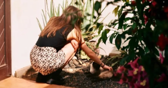nyr pet sitter à PARIS 11 75011_0