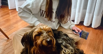 clara pet sitter à NOYAL CHATILLON SUR SEICHE 35230_2