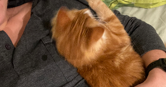 jules pet sitter à AIX EN PROVENCE 13540_1