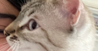 amira pet sitter à PARIS 05 75005_1