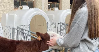 mathilde pet sitter à ROQUEFORT LA BEDOULE 13830