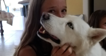 josephine pet sitter à AIX EN PROVENCE 13100_2