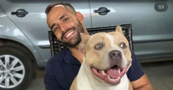 pedro henrique pet sitter à BOISSY ST LEGER 94470