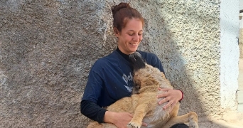cyrielle pet sitter à VIVIERS DU LAC 73420_1