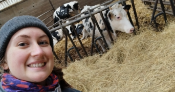 suzie pet sitter à ALFORTVILLE 94140_1