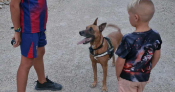 marlene pet sitter à AUNEAU BLEURY ST SYMPHORIEN 28700_5