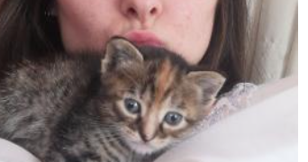 Camille pet sitter à PIOLENC 84420