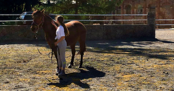 camille pet sitter à ALLINGES 74200_2