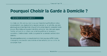 ingrid cat sitter à BONSECOURS 76240_7