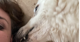 amandine pet sitter à AURIOL 13390_0