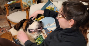 Aliénor dog sitter à GRENOBLE 38000_2