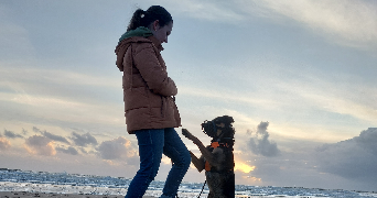 ninon pet sitter à ST JEAN DE MONTS 85160_0