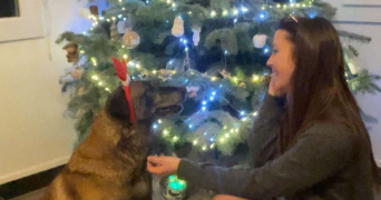 mélaine pet sitter à Béguey 33410_3