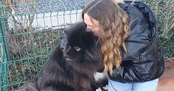 maelys pet sitter à MUNCHHOUSE 68740_0