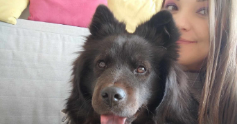 aurélie pet sitter à MARSEILLE 01 13001_9
