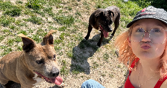 eva pet sitter à DUNKERQUE 59140_3