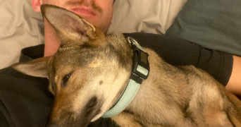 lucas pet sitter à PARIS 13 75013_8