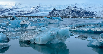 sarah pet sitter à BOULOGNE BILLANCOURT 92100_0