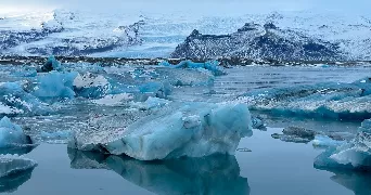 sarah pet sitter à BOULOGNE BILLANCOURT 92100