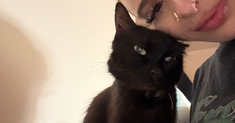 assia pet sitter à ROSNY SUR SEINE 78710_3