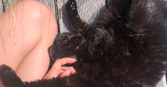 chloe pet sitter à VERSAILLES 78000_1