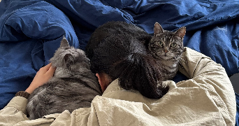 elysa pet sitter à PARIS 15 75015_0