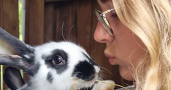 julie pet sitter à Vidauban 83550_6