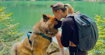 loane pet sitter à MORVILLARS 90120_0