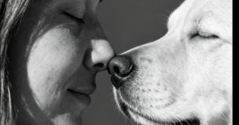 coralie pet sitter à ST LEGER AUX BOIS 60170_0