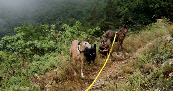 caroline pet sitter à Castagnier 06670_4