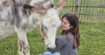 jade pet sitter à PUGET SUR ARGENS 83480_2