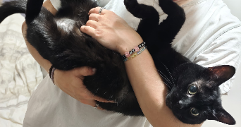 olessia pet sitter à LUNEVILLE 54300_1