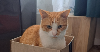 axelle pet sitter à Paris 75000_3