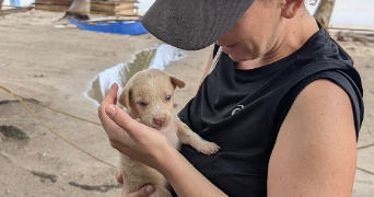 amandine pet sitter à MONTPELLIER 34000_2