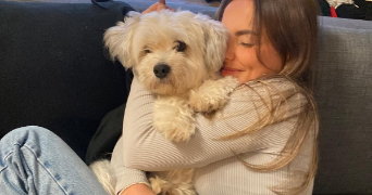 ahinoa pet sitter à SAVIGNY LE TEMPLE 77176_3