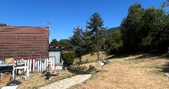 lili pet sitter à BRIORD 01470_3