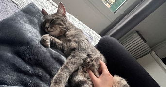 auréanne pet sitter à TOULOUSE 31000_1