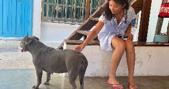 solenn pet sitter à ASNIERES SUR SEINE 92600_1