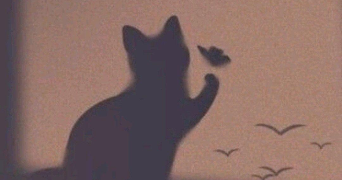 lina pet sitter à VAYRES SUR ESSONNE 91820_0