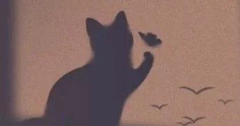 lina pet sitter à VAYRES SUR ESSONNE 91820