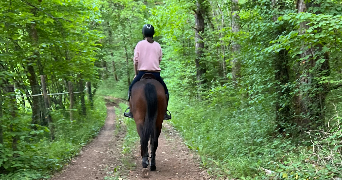 marie pet sitter à DIJON 21000_6