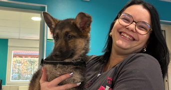 lauryne pet sitter à Bruay la Buissière 62700_2