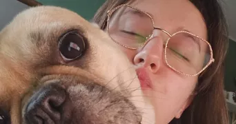 louison pet sitter à ST AMAND LES EAUX 59230