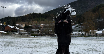 axelle pet sitter à AXAT 11140_4