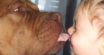 aurélien pet sitter à TOURS 37000_2